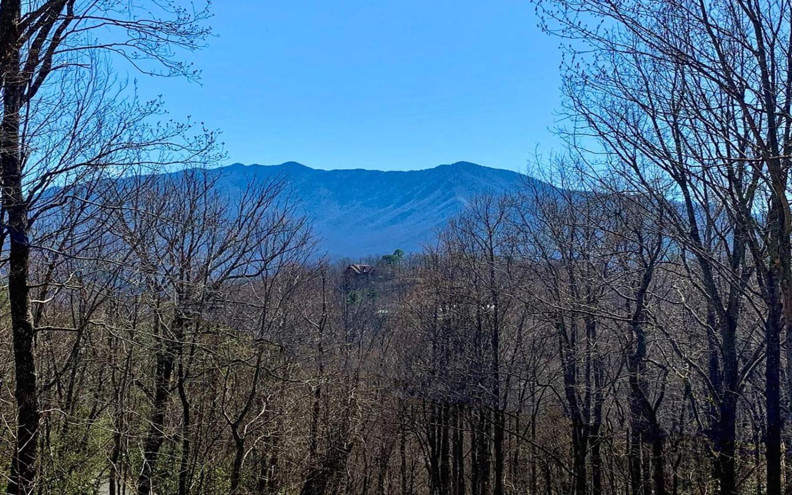 Grand Ole Chalet - Mt Viewsfireplacefirepitarcade Gatlinburg Buitenkant foto